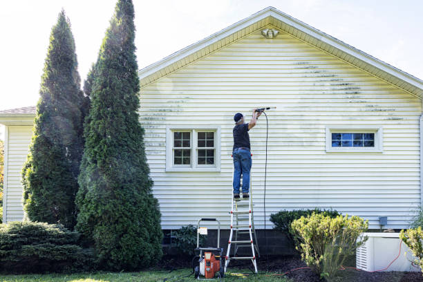 Best House Exterior Washing  in Garden City Park, NY